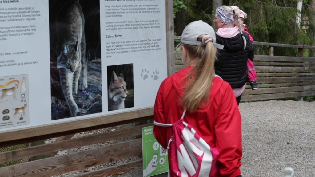 Ilves-infokyltti Ähtärin eläinpuistossa