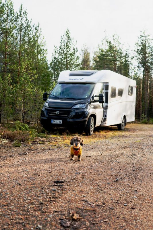 Annan kääpiömäyräkoira villapaidassa matkailuauton edessä