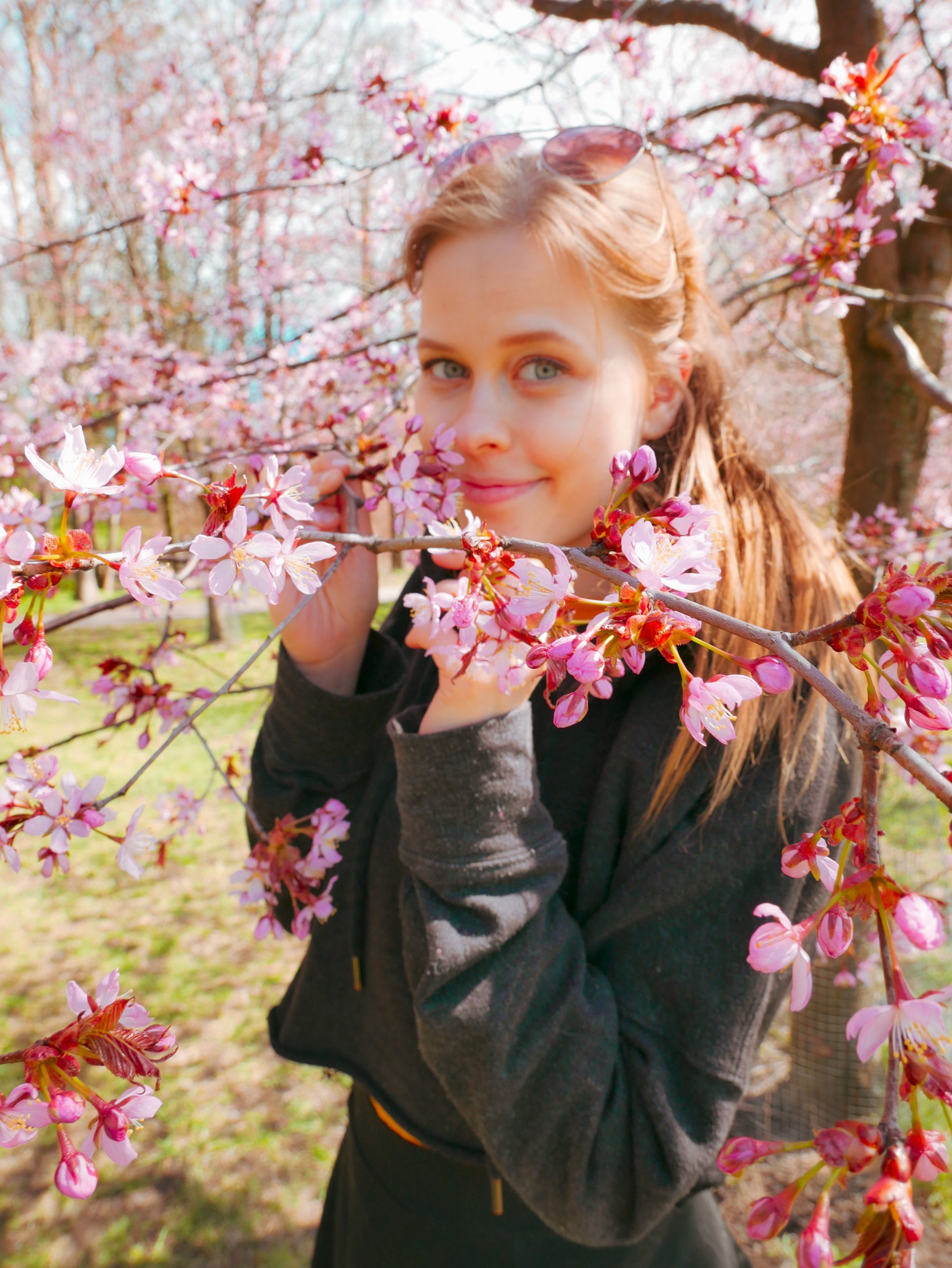 Roihuvuoren Kirsikkapuisto Helsinki BestCaravan