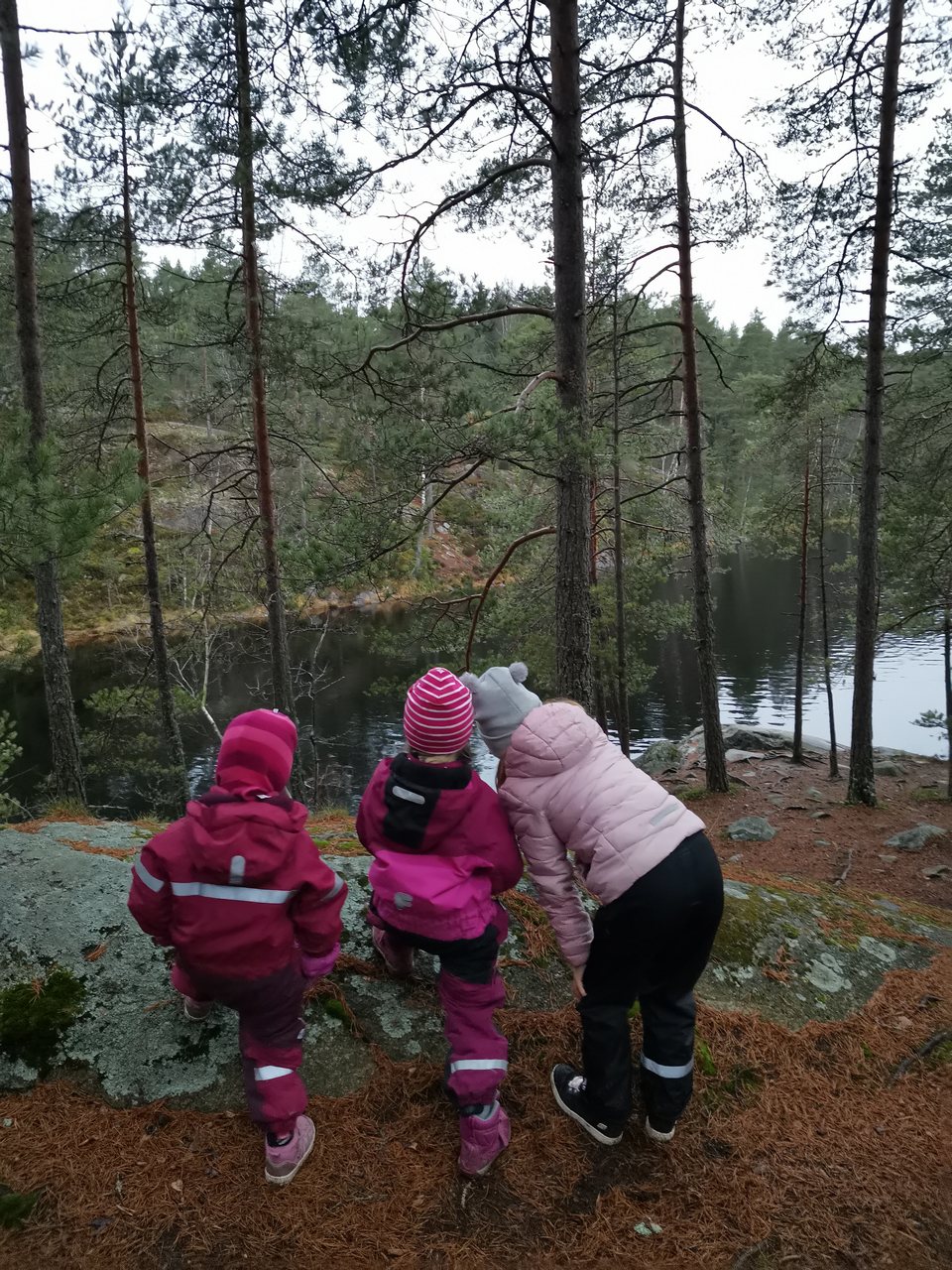 Lapset Matildajärven rannalla ihmettelemässä luontoa.